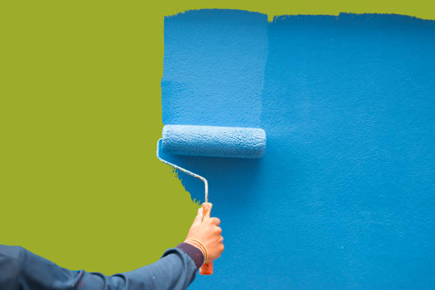 Best Mold Damage Restoration  in West Columbia, SC